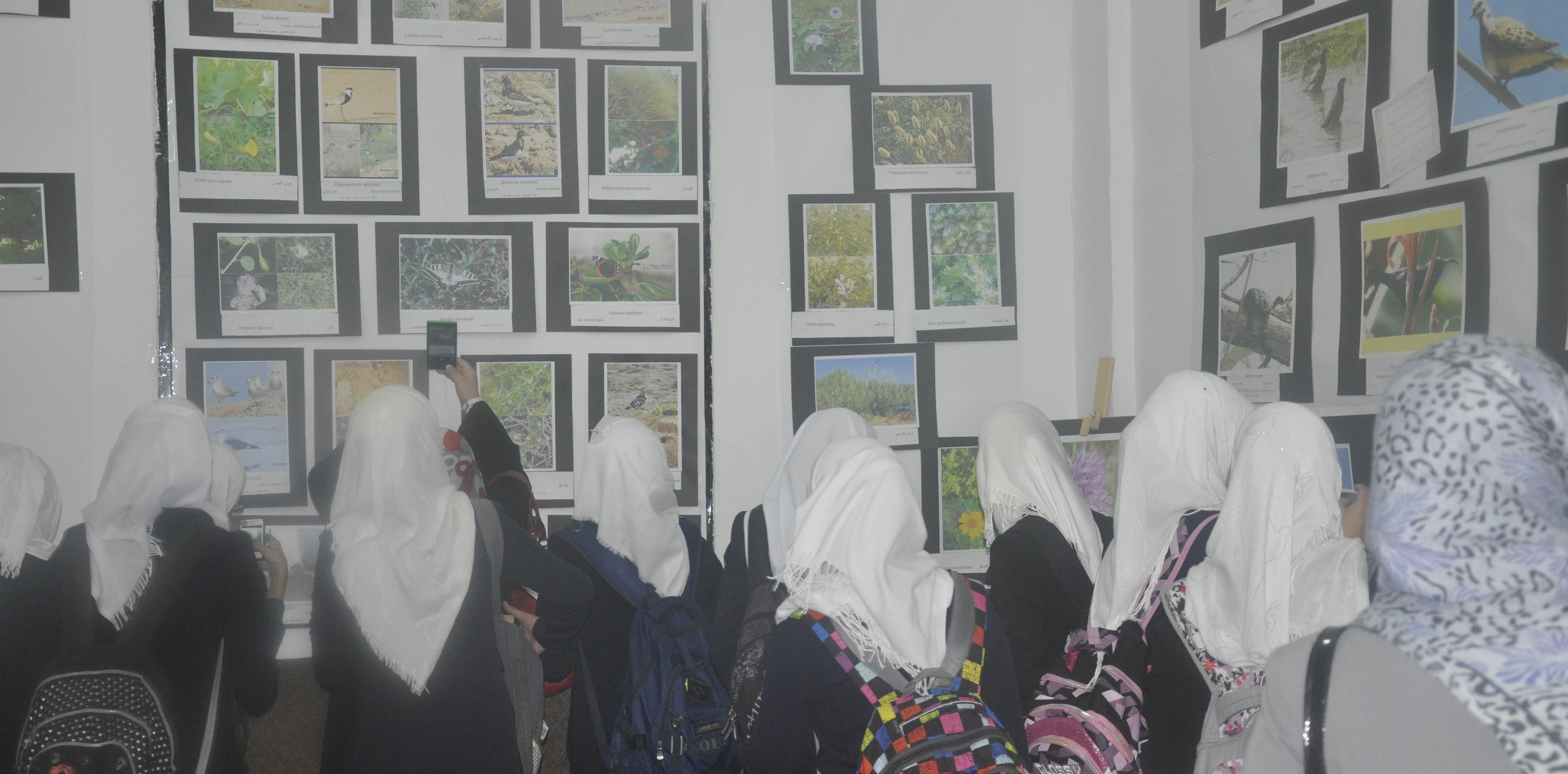 ��� ����� ���� ������� ���� ������� ��������� ������� ������� ������ ��� ������� ����������   .